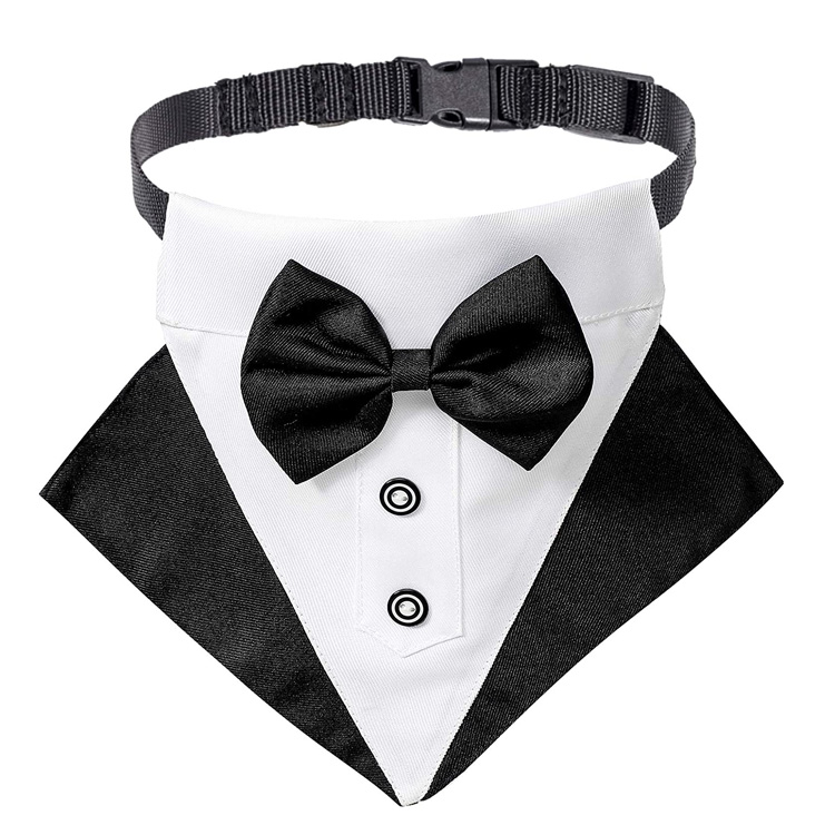 Bowtie সঙ্গে সামঞ্জস্যপূর্ণ Tuxedo বিবাহের কুকুর Bandana কলার